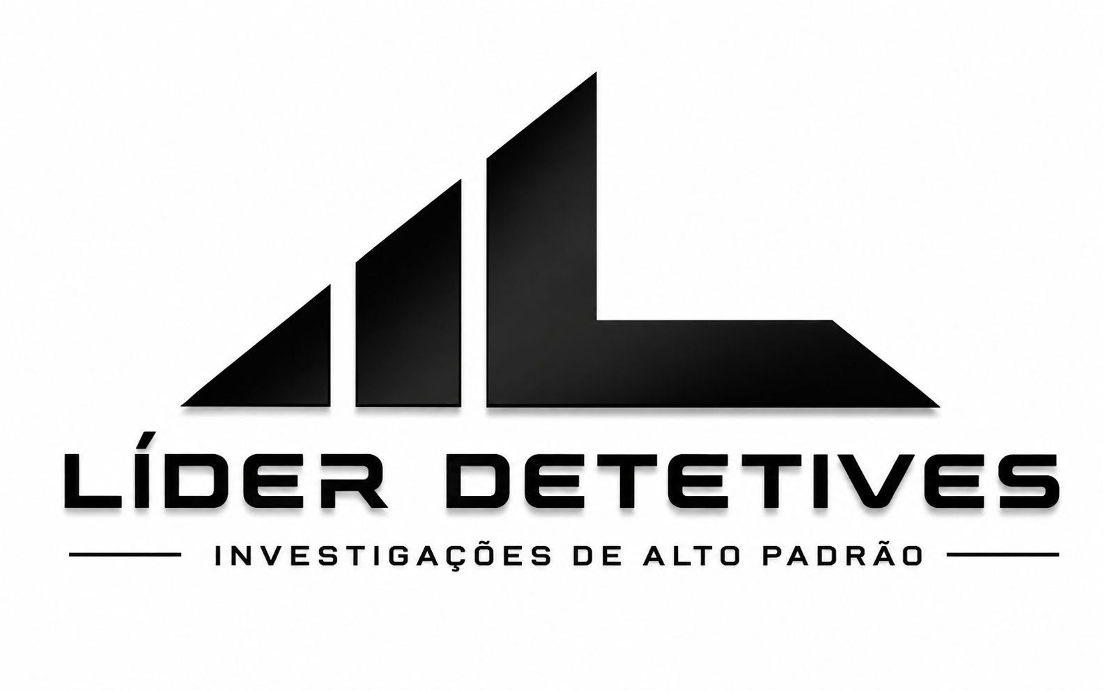 Logo Líder Detetives